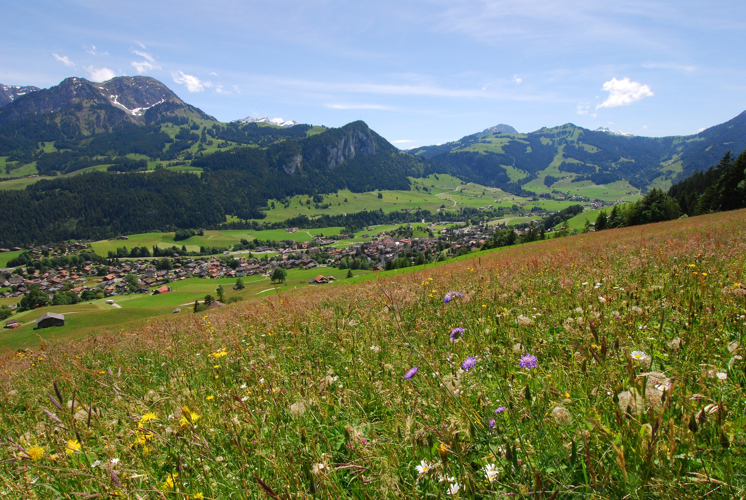 Le Pays-d’Enhaut et le sud du canton de Fribourg sont toujours coupés du monde
